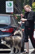 IRELAND BALDWIN Out with Her Dog Koda in Los Angeles 06/16/2020