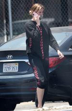 IRELAND BALDWIN Out with Her Dog Koda in Los Angeles 06/16/2020