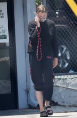 IRELAND BALDWIN Out with Her Dog Koda in Los Angeles 06/16/2020