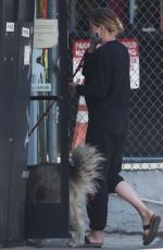 IRELAND BALDWIN Out with Her Dog Koda in Los Angeles 06/16/2020