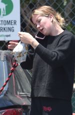 IRELAND BALDWIN Out with Her Dog Koda in Los Angeles 06/16/2020