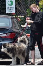 IRELAND BALDWIN Out with Her Dog Koda in Los Angeles 06/16/2020