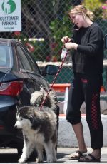IRELAND BALDWIN Out with Her Dog Koda in Los Angeles 06/16/2020