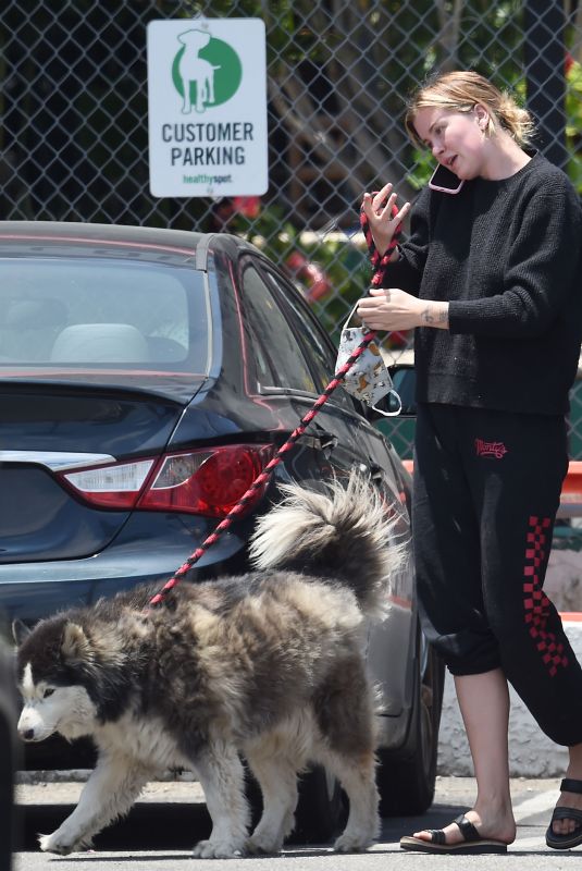 IRELAND BALDWIN Out with Her Dog Koda in Los Angeles 06/16/2020
