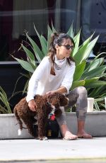 JORDANA BREWSTER Out with Her Dog in Brentwood 06/17/2020