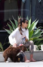 JORDANA BREWSTER Out with Her Dog in Brentwood 06/17/2020