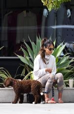 JORDANA BREWSTER Out with Her Dog in Brentwood 06/17/2020