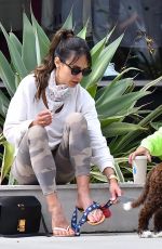 JORDANA BREWSTER Out with Her Dog in Brentwood 06/17/2020