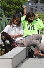 JORDANA BREWSTER Out with Her Dog in Brentwood 06/17/2020