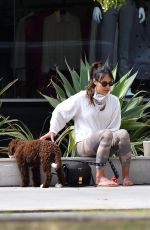 JORDANA BREWSTER Out with Her Dog in Brentwood 06/17/2020