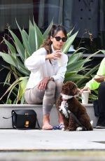 JORDANA BREWSTER Out with Her Dog in Brentwood 06/17/2020