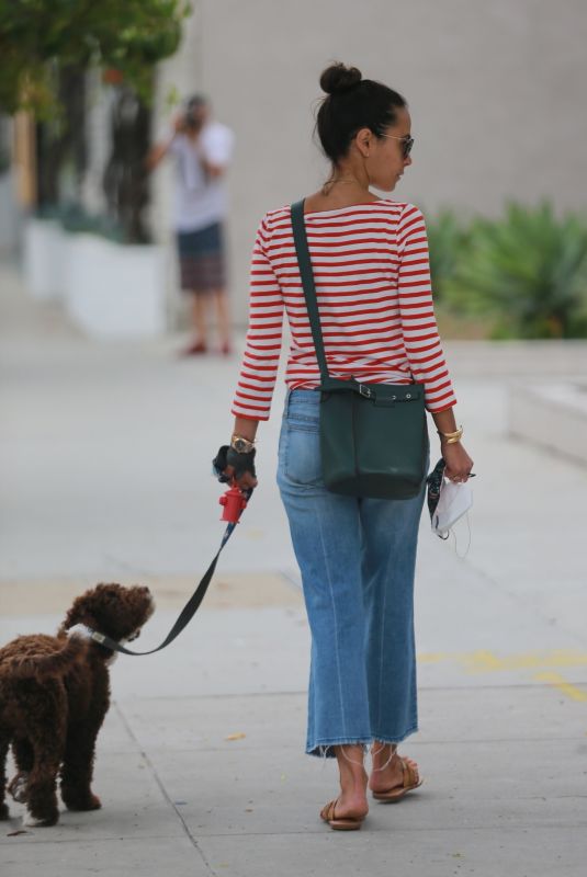 JORDANA BREWSTER Out with Her Dog in Brentwood 06/25/2020