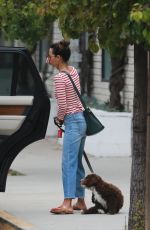 JORDANA BREWSTER Out with Her Dog in Brentwood 06/25/2020