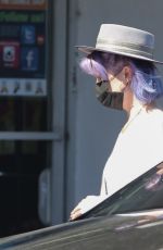 KELLY OSBOURNE at Healthy Spot Pet Supply Store in Los Angeles 06/10/2020