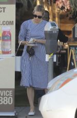 KELLY RUTHERFORD Out with Her Dogs in Santa Monica 06/10/2020