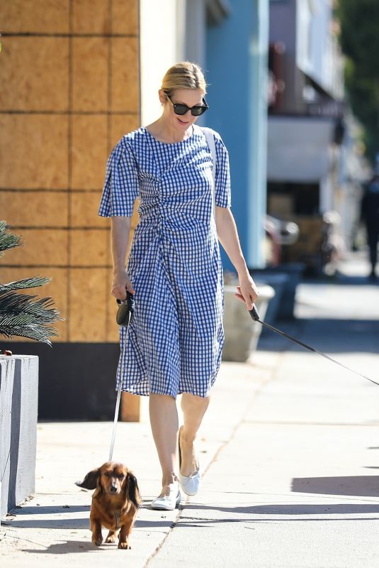 KELLY RUTHERFORD Out with Her Dogs in Santa Monica 06/10/2020
