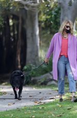 LAURA DERN Out with Her Dog in Pacific Palisades 06/02/2020