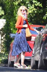 LAURA DERN Out with Her Dogs in Santa Monica 06/07/2020