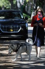 LAURA DERN Out with Her Dogs in Santa Monica 06/07/2020