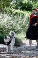 LAURA DERN Out with Her Dogs in Santa Monica 06/07/2020