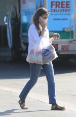 LILY COLLINS Out Shopping in Los Angeles 06/27/2020