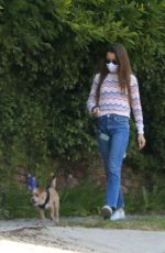 LILY COLLINS Out with Her Dog in Beverly Hills 06/06/2020