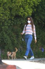 LILY COLLINS Out with Her Dog in Beverly Hills 06/06/2020