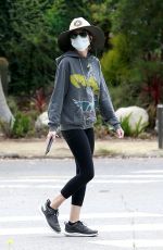 LISA RINNA Out in Beverly Hills 06/05/2020