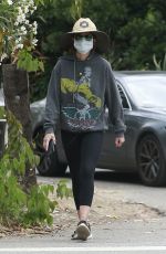 LISA RINNA Out in Beverly Hills 06/05/2020