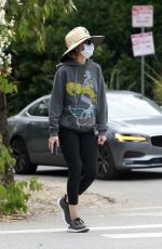 LISA RINNA Out in Beverly Hills 06/05/2020