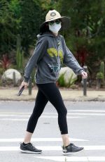 LISA RINNA Out in Beverly Hills 06/05/2020