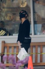 LISA RINNA Out Shopping in Studio City 06/27/2020
