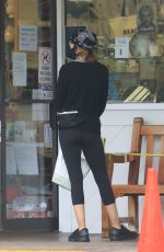 LISA RINNA Out Shopping in Studio City 06/27/2020