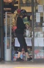 LISA RINNA Out Shopping in Studio City 06/27/2020