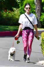 LUCY HALE Out with Elvis in Studio City 06/07/2020