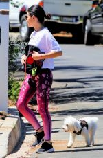 LUCY HALE Out with Elvis in Studio City 06/07/2020