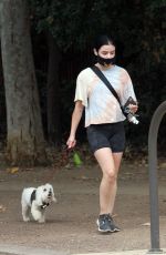 LUCY HALE Out with Her Dog Elvis in Los Angeles 06/25/2020