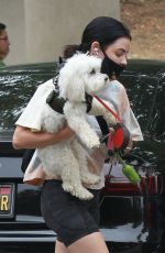 LUCY HALE Out with Her Dog Elvis in Los Angeles 06/25/2020