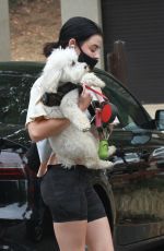 LUCY HALE Out with Her Dog Elvis in Los Angeles 06/25/2020