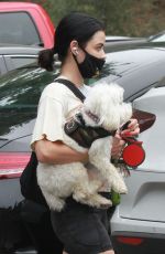 LUCY HALE Out with Her Dog Elvis in Los Angeles 06/25/2020