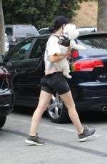 LUCY HALE Out with Her Dog Elvis in Los Angeles 06/25/2020