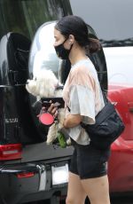 LUCY HALE Out with Her Dog Elvis in Los Angeles 06/25/2020