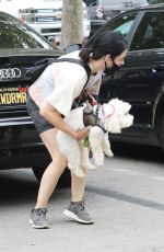 LUCY HALE Out with Her Dog Elvis in Los Angeles 06/25/2020