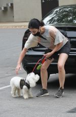 LUCY HALE Out with Her Dog Elvis in Los Angeles 06/25/2020