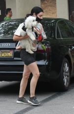 LUCY HALE Out with Her Dog Elvis in Los Angeles 06/25/2020