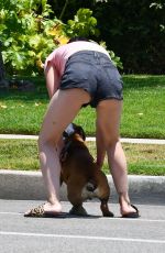 LUCY HALE Out with her Dog in Studio City 06/27/2020