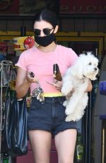 LUCY HALE Out with her Dog in Studio City 06/27/2020