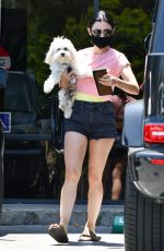 LUCY HALE Out with her Dog in Studio City 06/27/2020