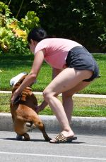 LUCY HALE Out with her Dog in Studio City 06/27/2020