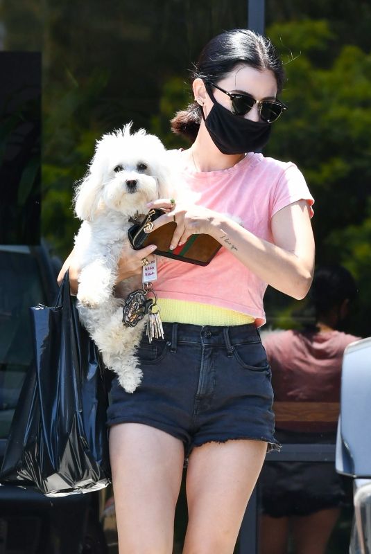 LUCY HALE Out with her Dog in Studio City 06/27/2020